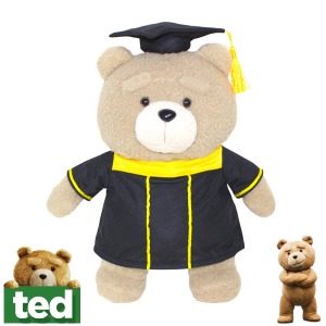 19곰 테드 인형 졸업 가운 30cm 곰인형